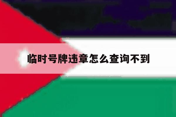 临时号牌违章怎么查询不到 临时号牌违章怎么查询不到