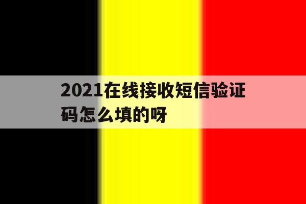 2021在线接收短信验证码怎么填的呀 2021在线接收短信验证码怎么填的呀
