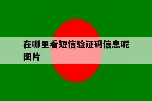 在哪里看短信验证码信息呢图片 在哪里看短信验证码信息呢图片