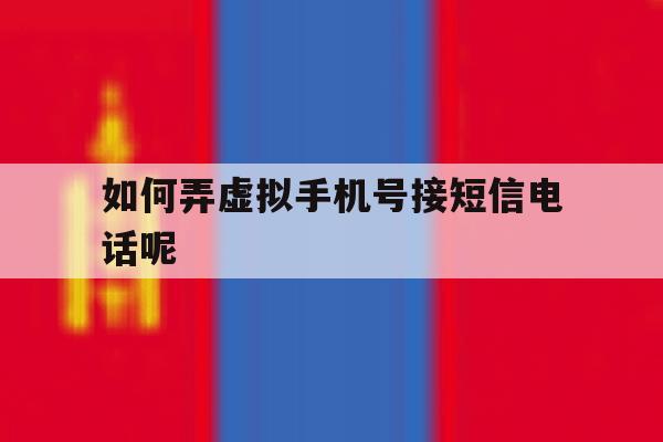 如何弄虚拟手机号接短信电话呢 如何弄虚拟手机号接短信电话呢
