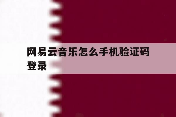 网易云音乐怎么手机验证码登录 网易云音乐怎么手机验证码登录
