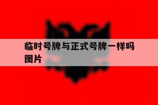 临时号牌与正式号牌一样吗图片 临时号牌与正式号牌一样吗图片