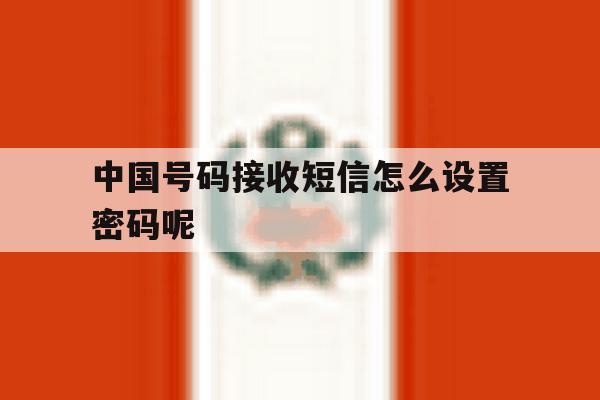 中国号码接收短信怎么设置密码呢 中国号码接收短信怎么设置密码呢
