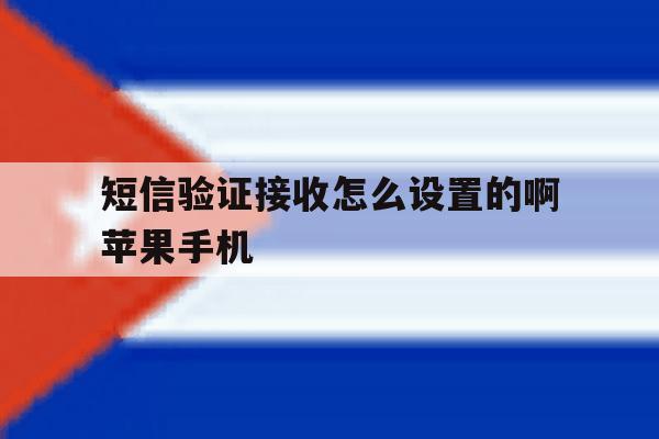 短信验证接收怎么设置的啊苹果手机 短信验证接收怎么设置的啊苹果手机