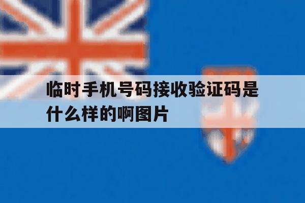 临时手机号码接收验证码是什么样的啊图片的简单介绍 临时手机号码接收验证码是什么样的啊图片的简单介绍