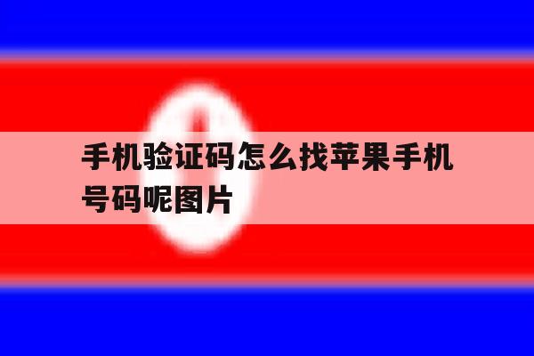 手机验证码怎么找苹果手机号码呢图片的简单介绍 手机验证码怎么找苹果手机号码呢图片的简单介绍