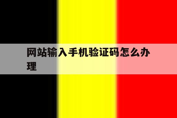 网站输入手机验证码怎么办理 网站输入手机验证码怎么办理