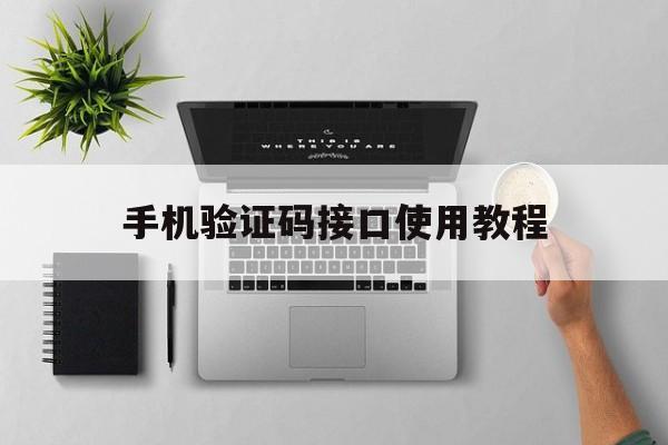 手机验证码接口使用教程 手机验证码接口使用教程