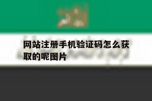 网站注册手机验证码怎么获取的呢图片的简单介绍 网站注册手机验证码怎么获取的呢图片的简单介绍