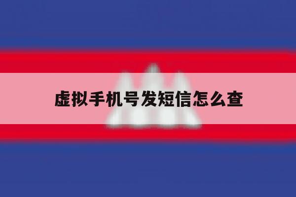 虚拟手机号发短信怎么查 虚拟手机号发短信怎么查