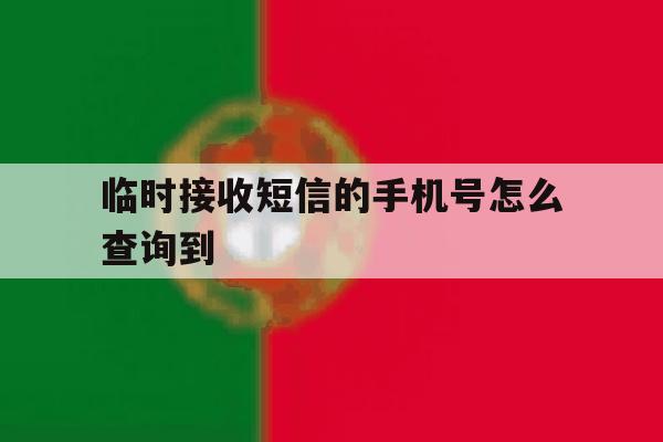 临时接收短信的手机号怎么查询到的简单介绍 临时接收短信的手机号怎么查询到的简单介绍