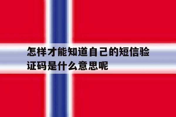 包含怎样才能知道自己的短信验证码是什么意思呢的词条 包含怎样才能知道自己的短信验证码是什么意思呢的词条