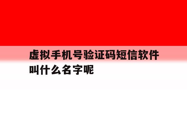 关于虚拟手机号验证码短信软件叫什么名字呢的信息 关于虚拟手机号验证码短信软件叫什么名字呢的信息