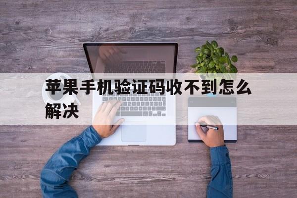 苹果手机验证码收不到怎么解决 苹果手机验证码收不到怎么解决